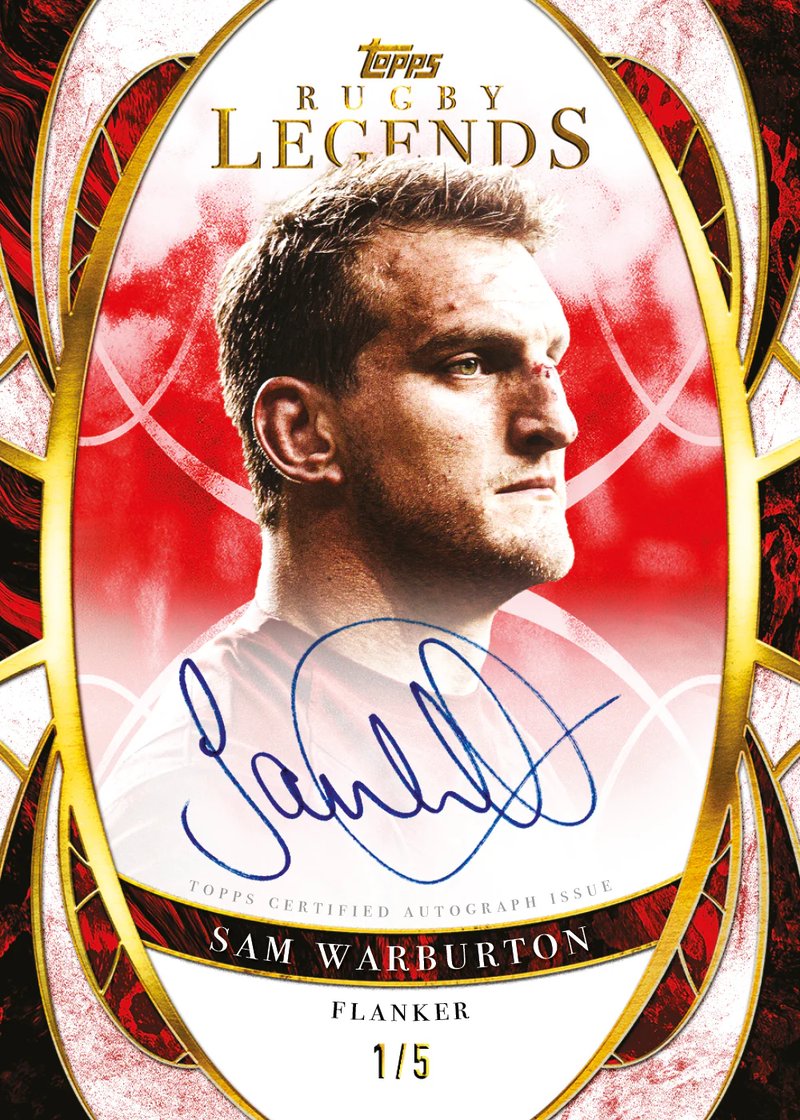 Trading cards in protective sleeves arranged in a rarity tier ladder on a wooden desk with coloured lighting accents